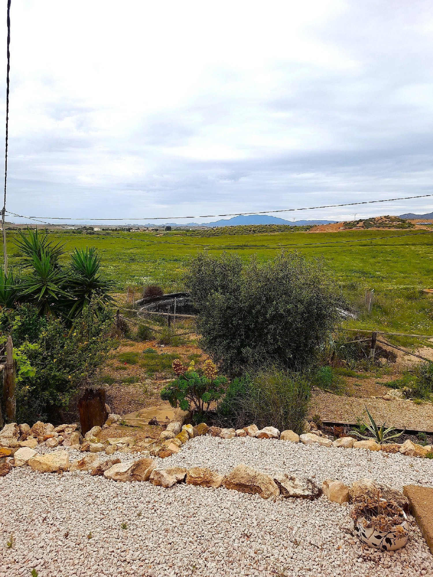  à vendre maison de campagne Alhama De Murcia Bajo Guadalentín 4