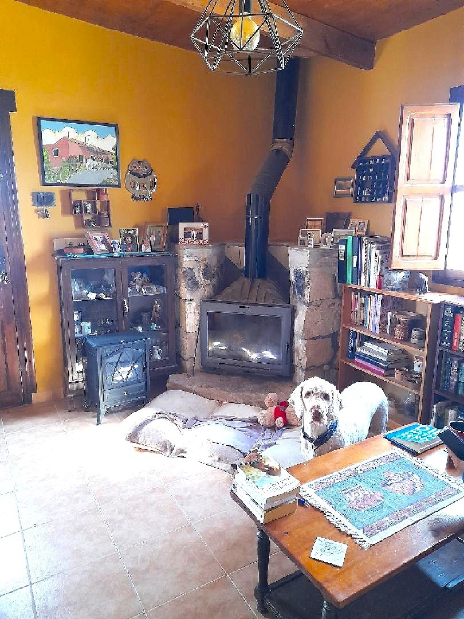  à vendre maison de campagne Alhama De Murcia Bajo Guadalentín 11