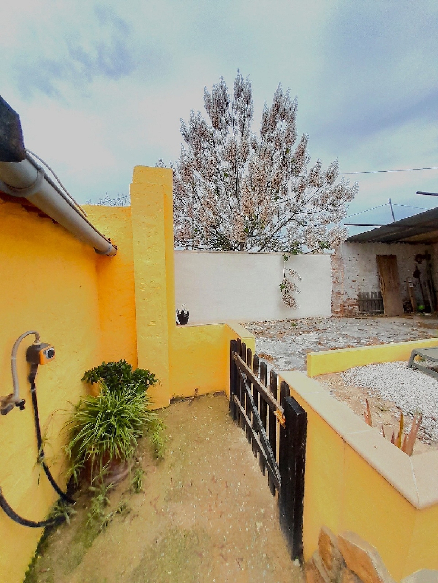 à vendre maison de campagne Alhama De Murcia Bajo Guadalentín 9