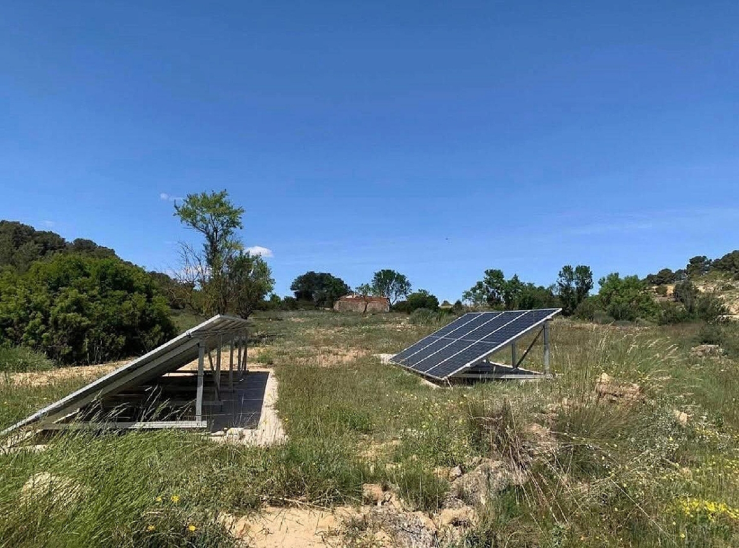  en venta finca rústica Almansa Monte Ibérico Almansa 6