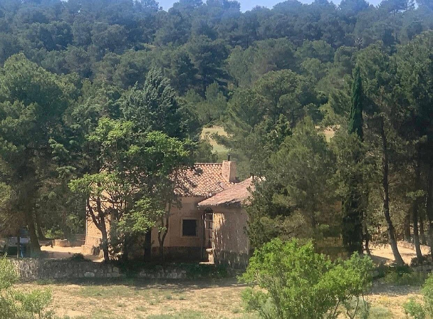  en venta finca rústica Almansa Monte Ibérico Almansa 4