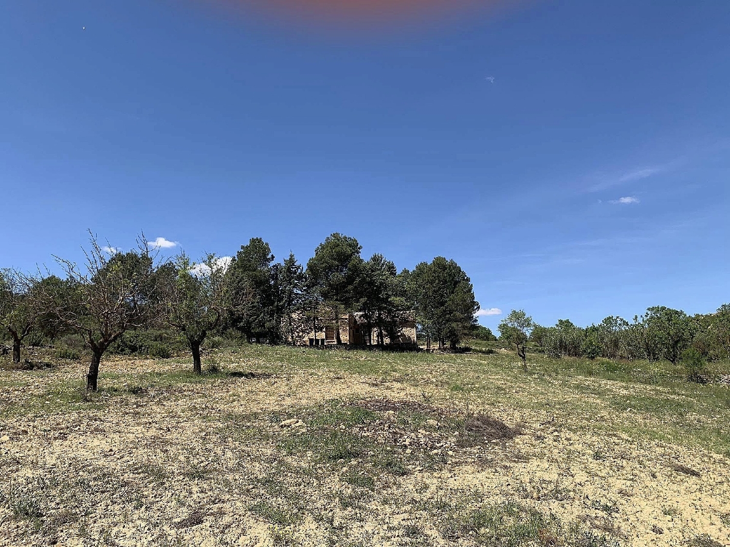  en venta finca rústica Almansa Monte Ibérico Almansa 25