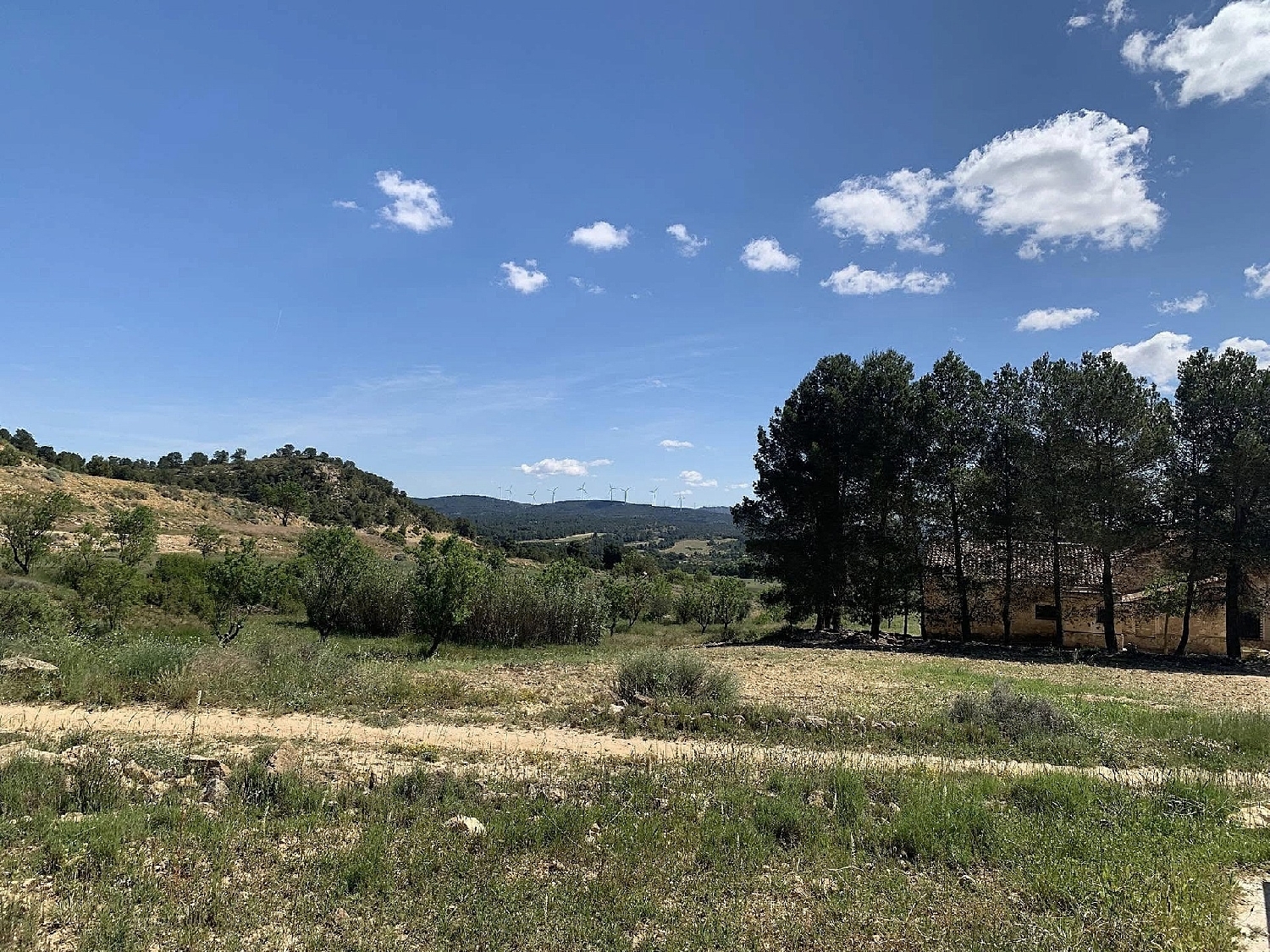  en venta finca rústica Almansa Monte Ibérico Almansa 31