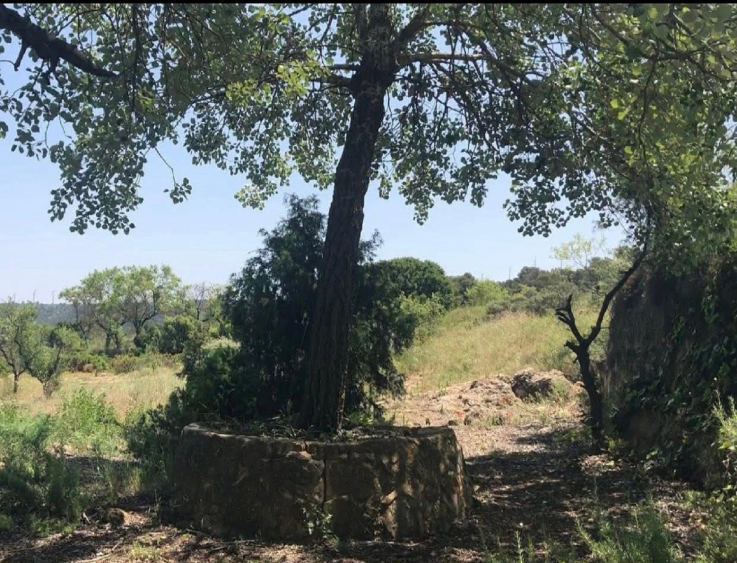  en venta finca rústica Almansa Monte Ibérico Almansa 27