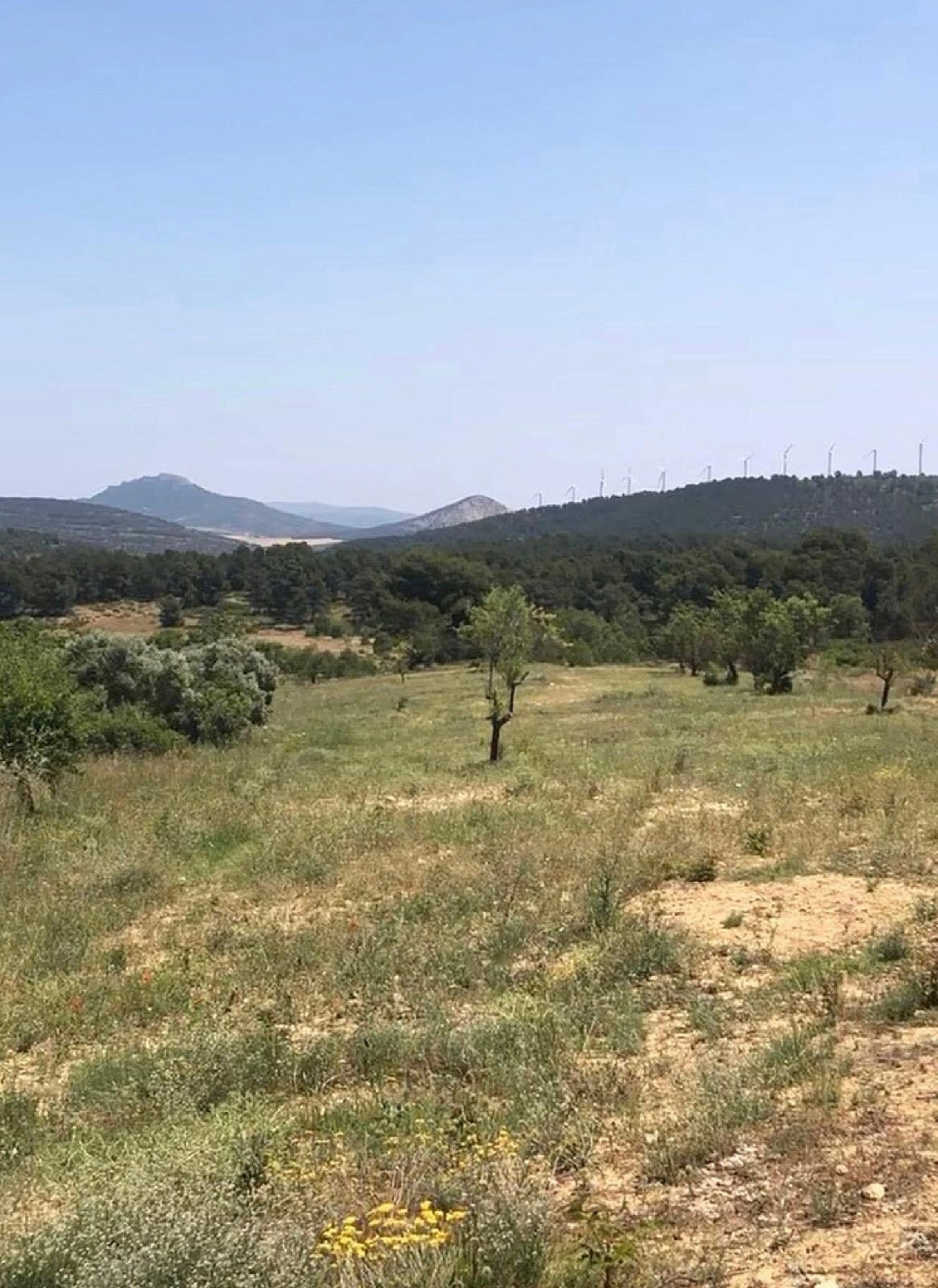  en venta finca rústica Almansa Monte Ibérico Almansa 33