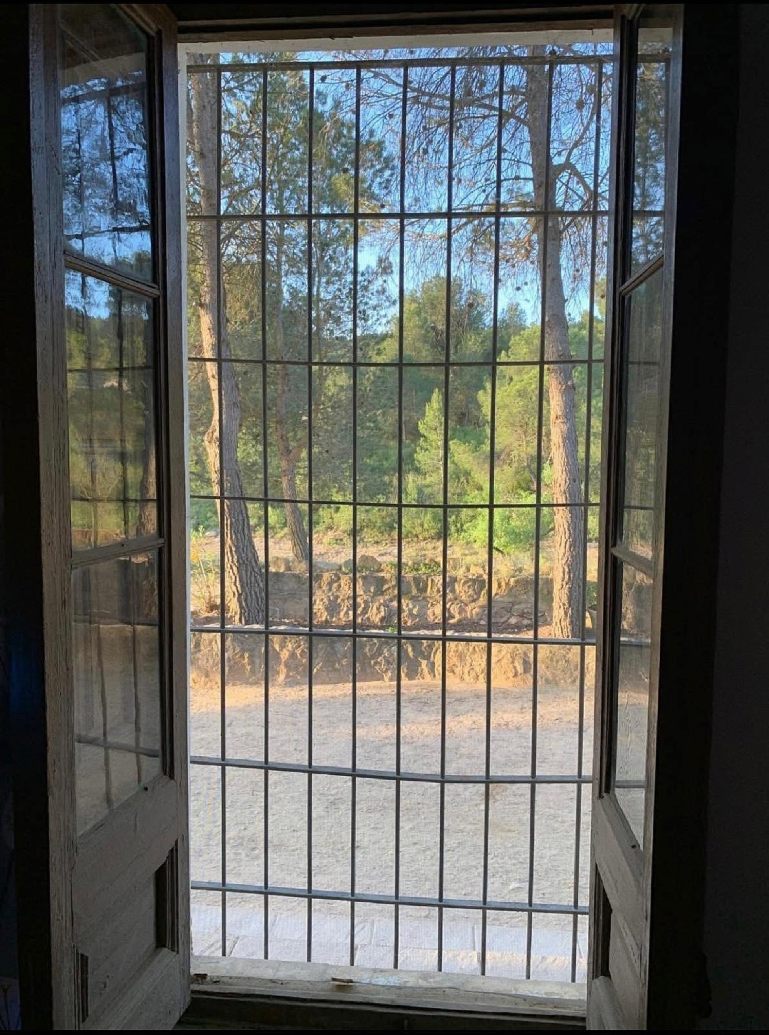  en venta finca rústica Almansa Monte Ibérico Almansa 35