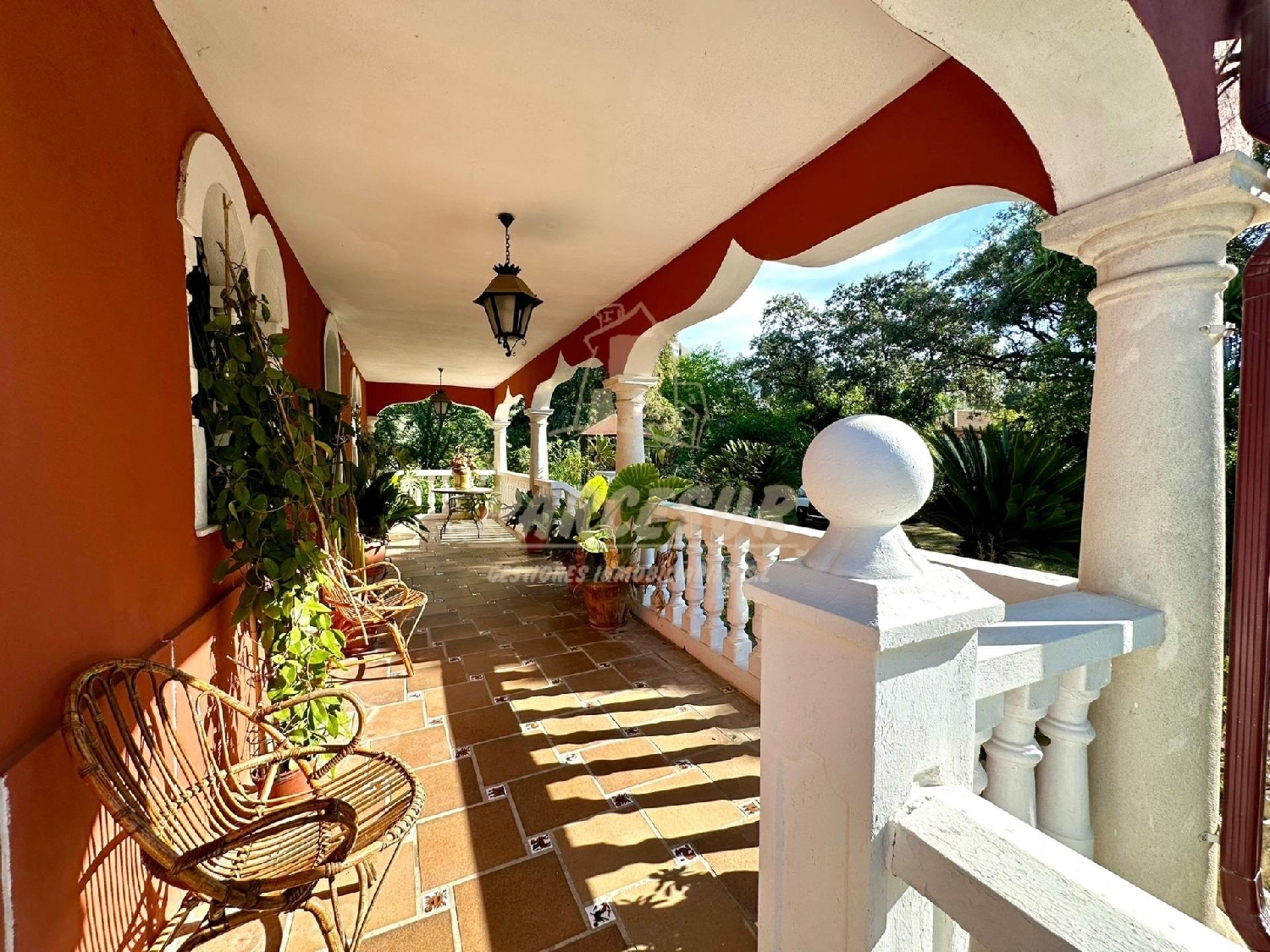  en venta finca rústica Almodóvar Del Río Valle Medio Del Guadalquivir 4