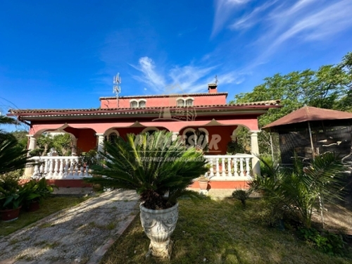 Almodóvar Del Río Valle Medio Del Guadalquivir finca rústica foto 6290617
