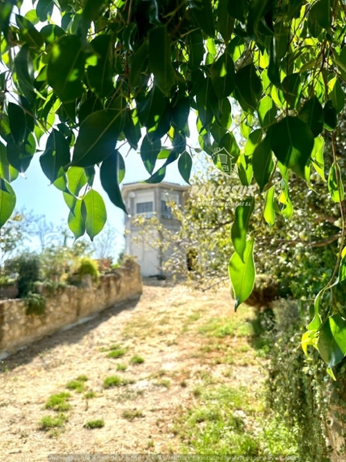 Almodóvar Del Río Valle Medio Del Guadalquivir hus på landet foto 6290628