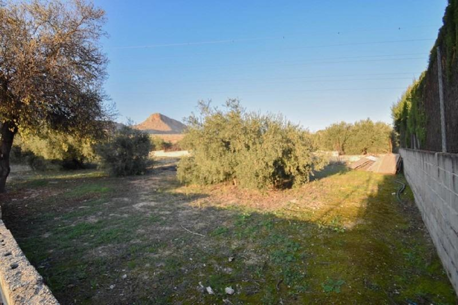  te koop boerderij Atarfe Vega De Granada 4