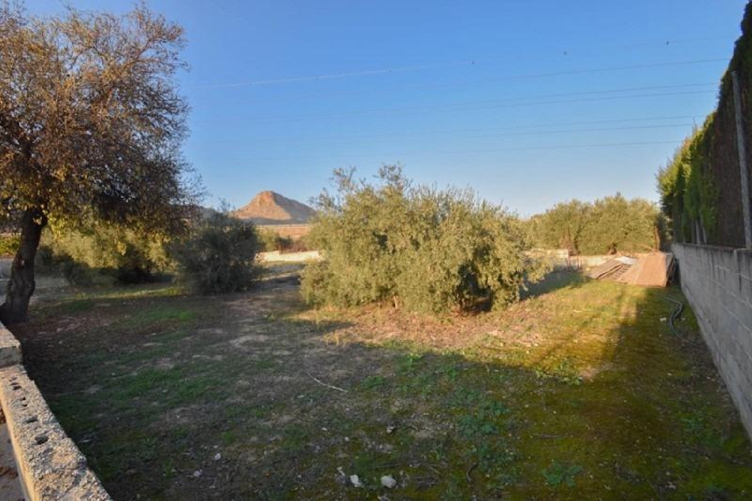  te koop boerderij Atarfe Vega De Granada 8