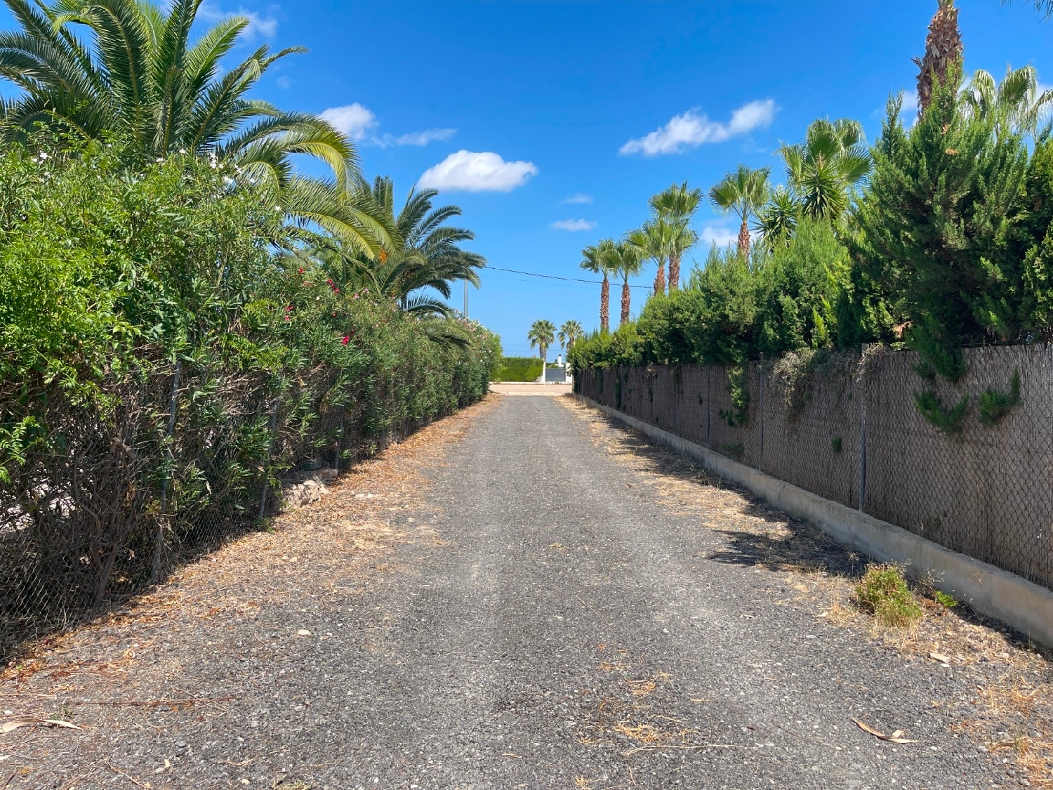  à vendre maison de campagne Benejúzar Baix Segura 1