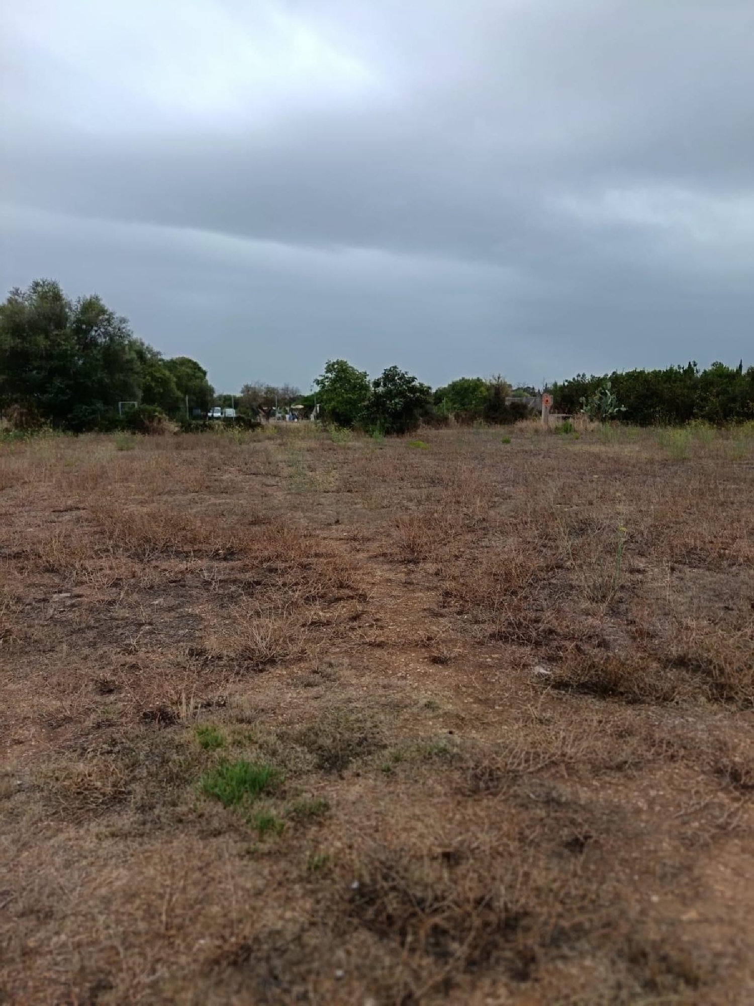  à vendre maison de campagne Búger Raiguer 4