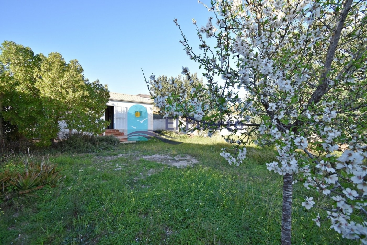  for sale country house Cartagena Campo De Cartagena 1
