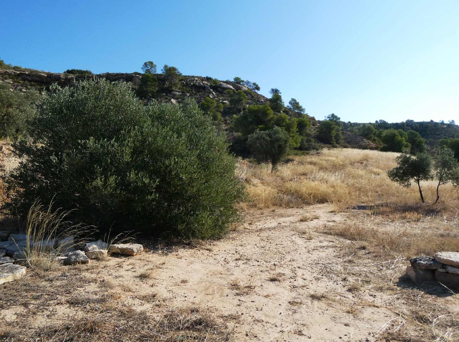  kaufen Landhaus Caspe Bajo Aragón-Caspe 2