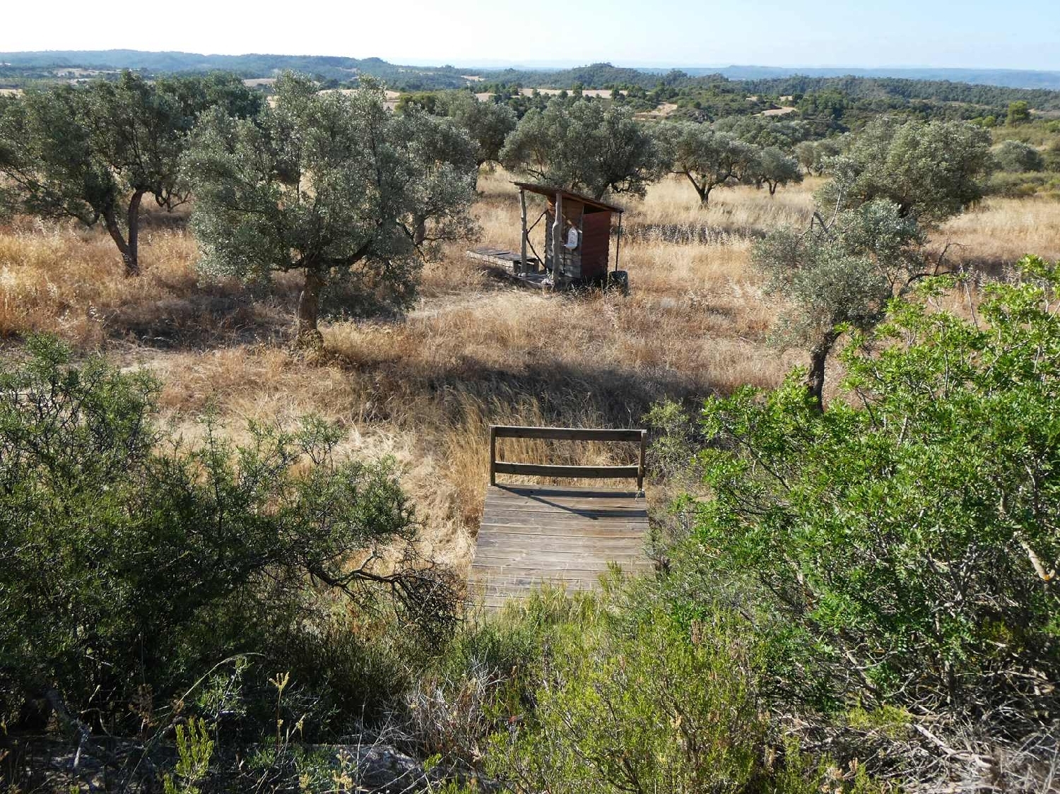  kaufen Landhaus Caspe Bajo Aragón-Caspe 6