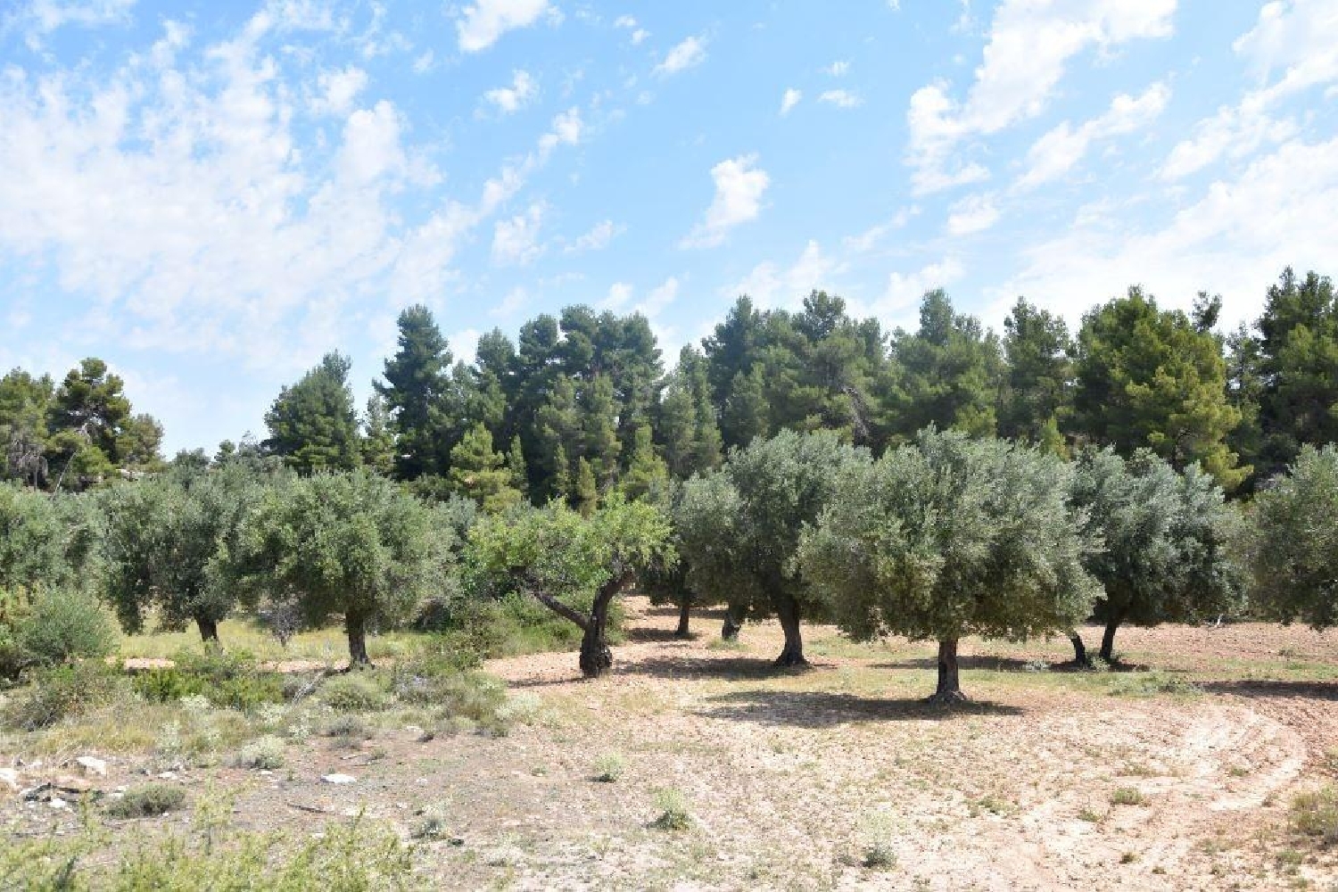  for sale country house Cretas Matarraña 7