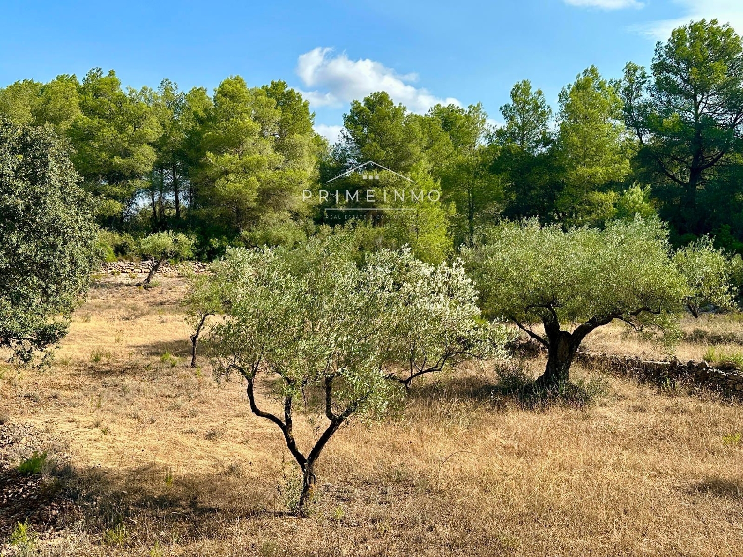 te koop boerderij El Perelló Baix Ebre 16