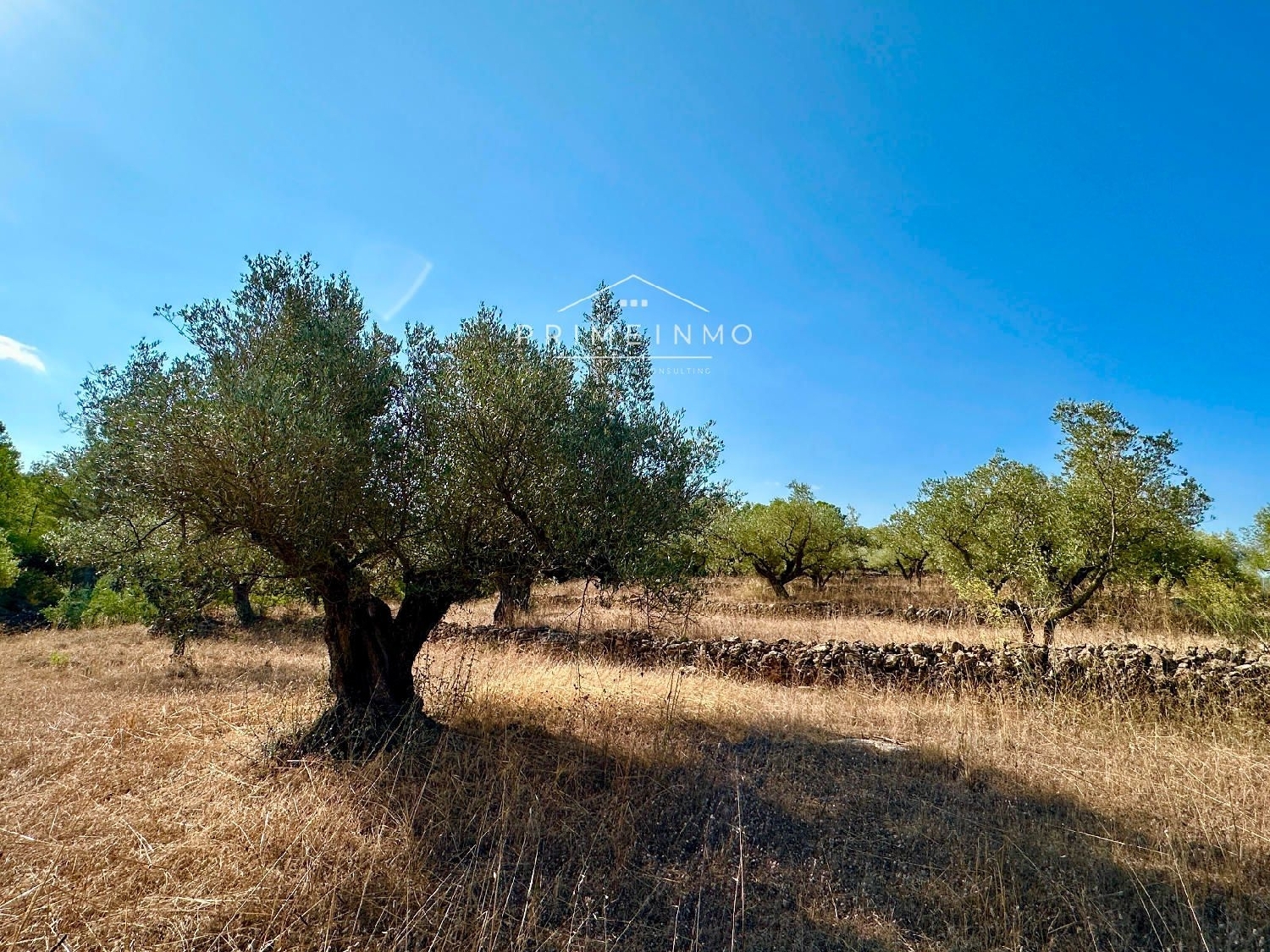  te koop boerderij El Perelló Baix Ebre 12
