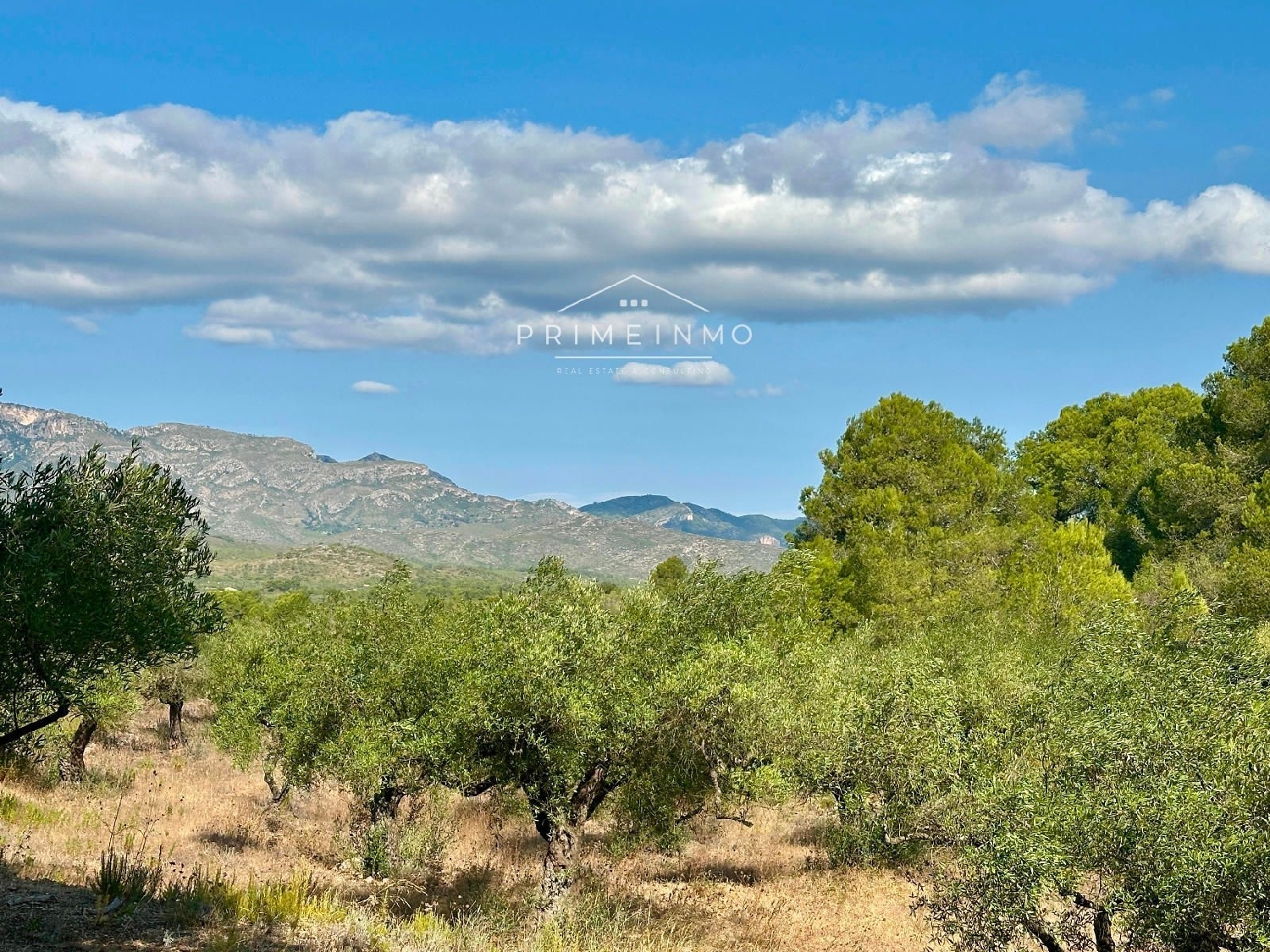 te koop boerderij El Perelló Baix Ebre 15