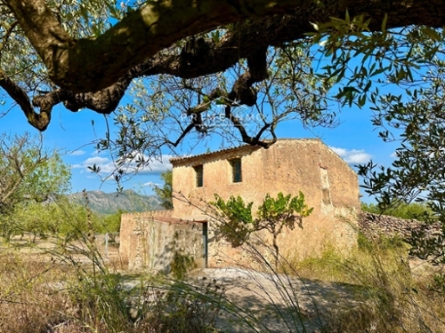 El Perelló Baix Ebre boerderij foto 6291358