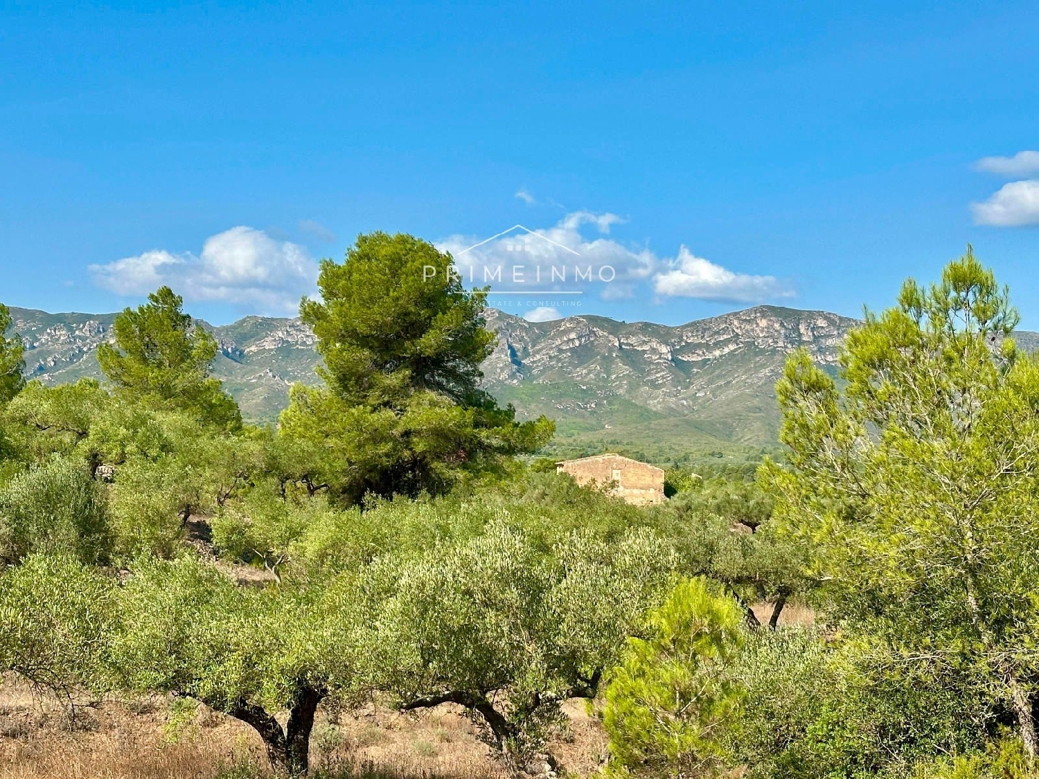  te koop boerderij El Perelló Baix Ebre 18