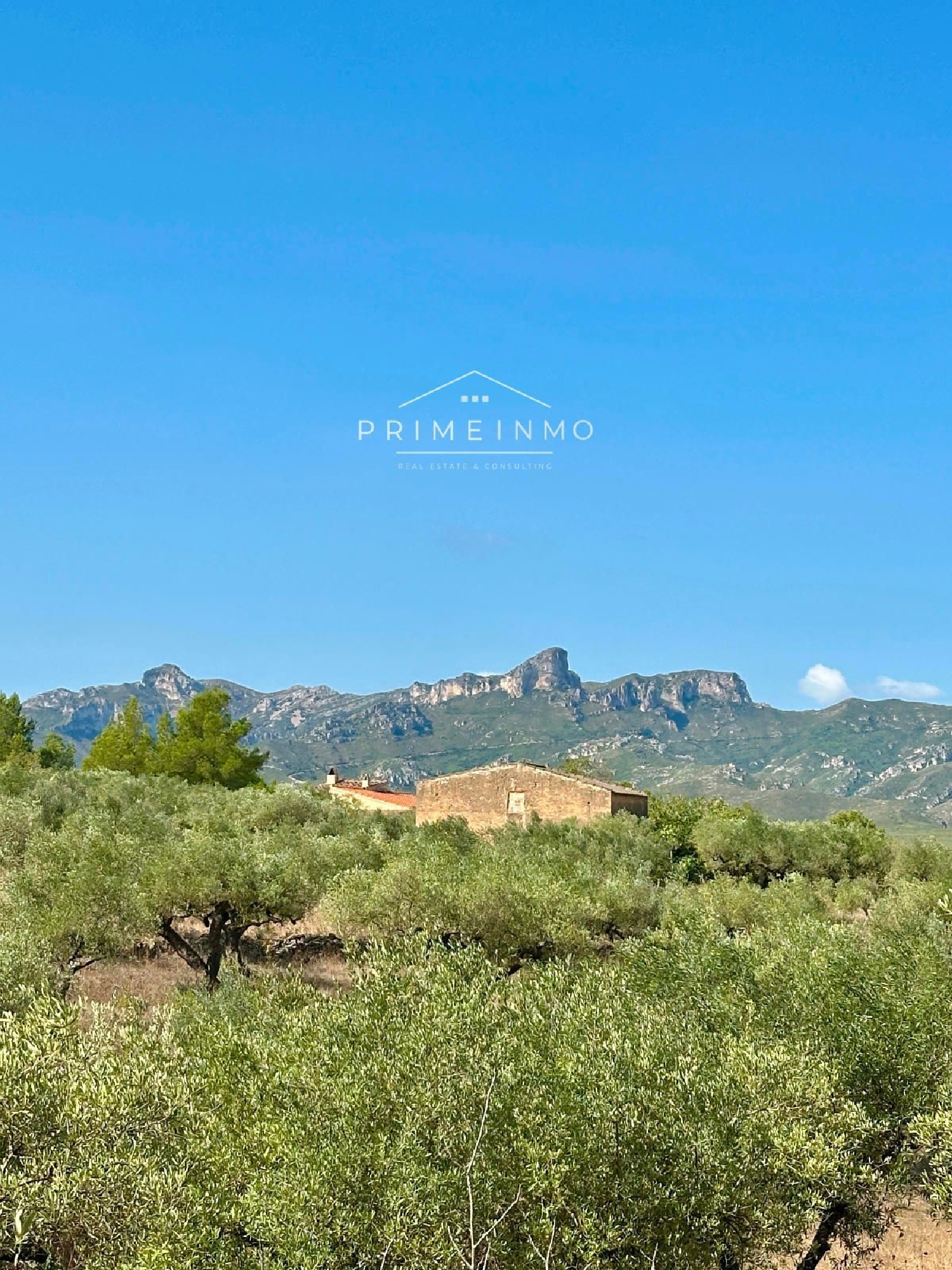  te koop boerderij El Perelló Baix Ebre 22