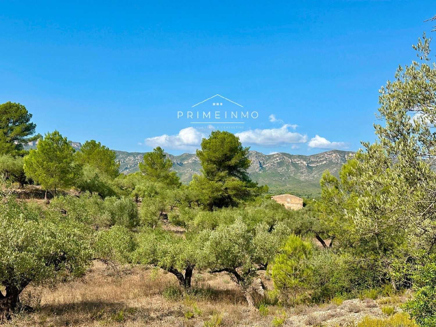  te koop boerderij El Perelló Baix Ebre 17