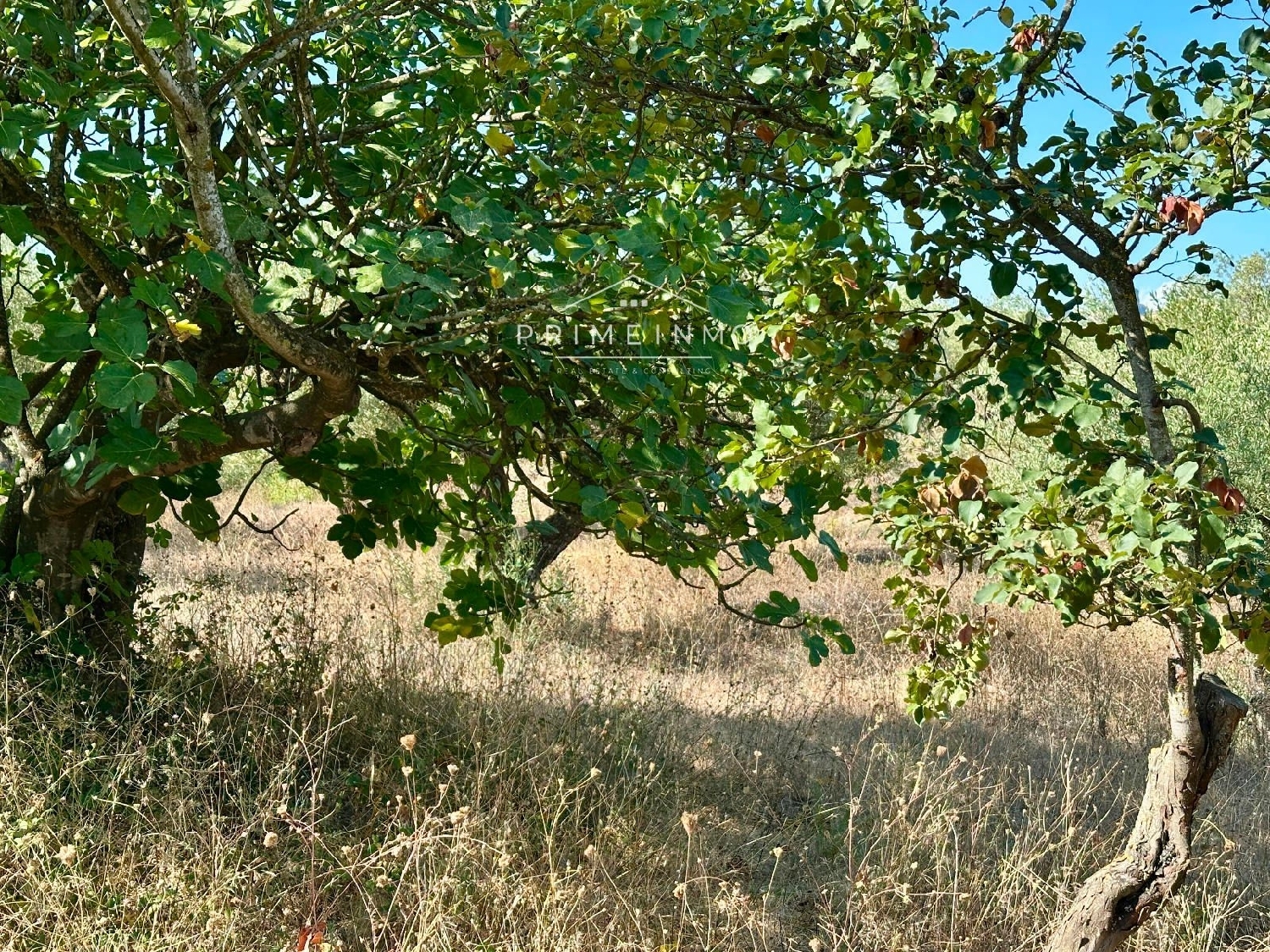  te koop boerderij El Perelló Baix Ebre 20