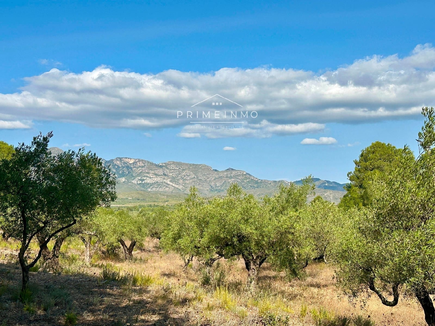  te koop boerderij El Perelló Baix Ebre 14