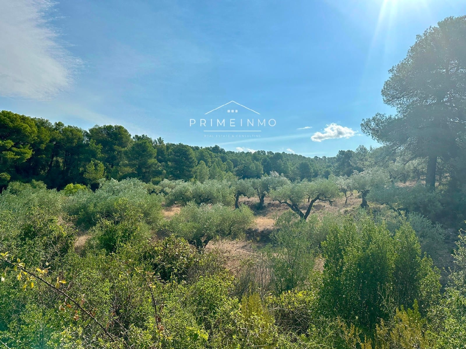  te koop boerderij El Perelló Baix Ebre 13
