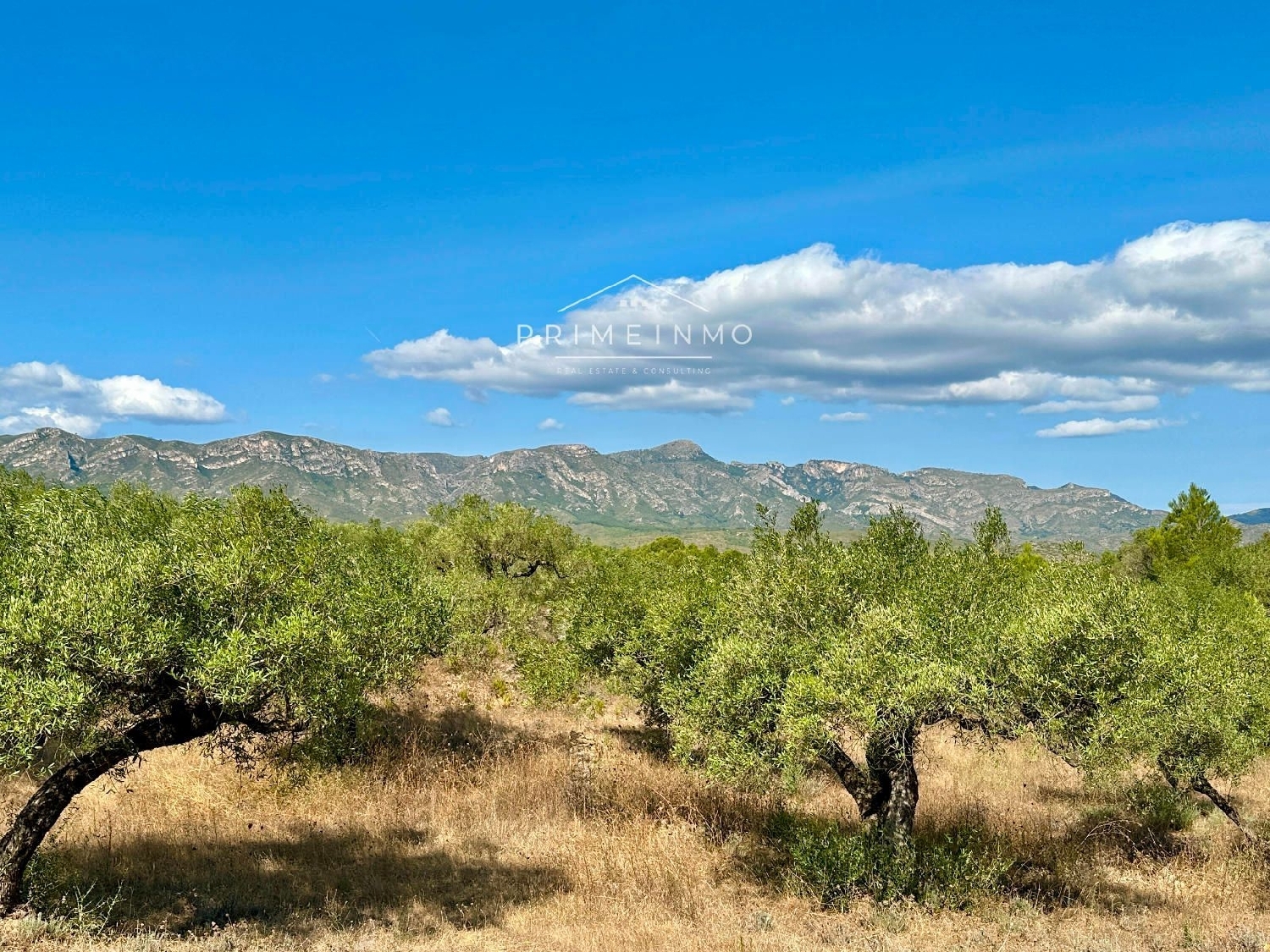  te koop boerderij El Perelló Baix Ebre 19