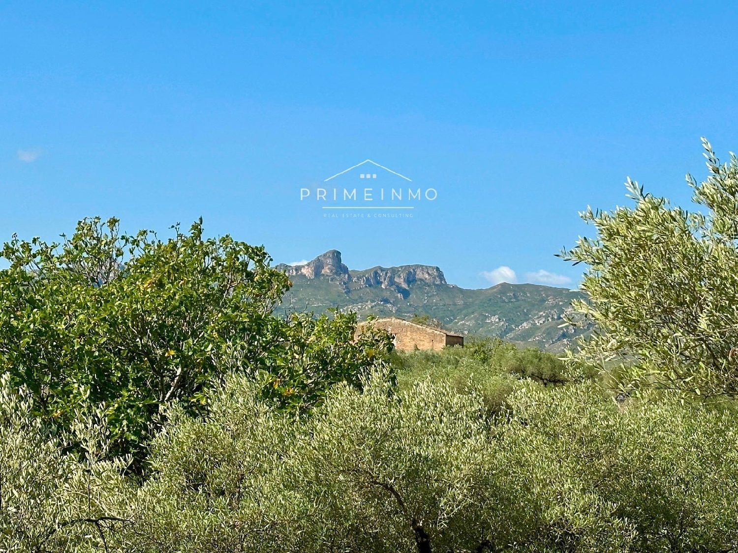  te koop boerderij El Perelló Baix Ebre 21