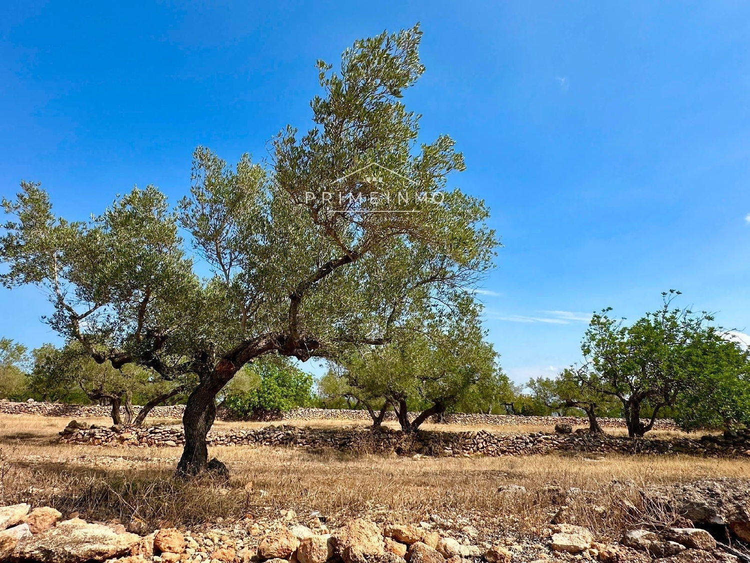  te koop boerderij El Perelló Baix Ebre 27
