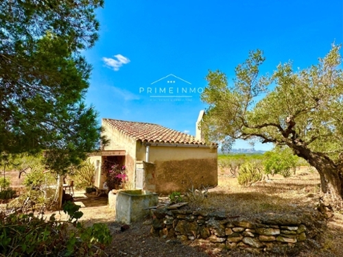 El Perelló Baix Ebre boerderij foto 6291360