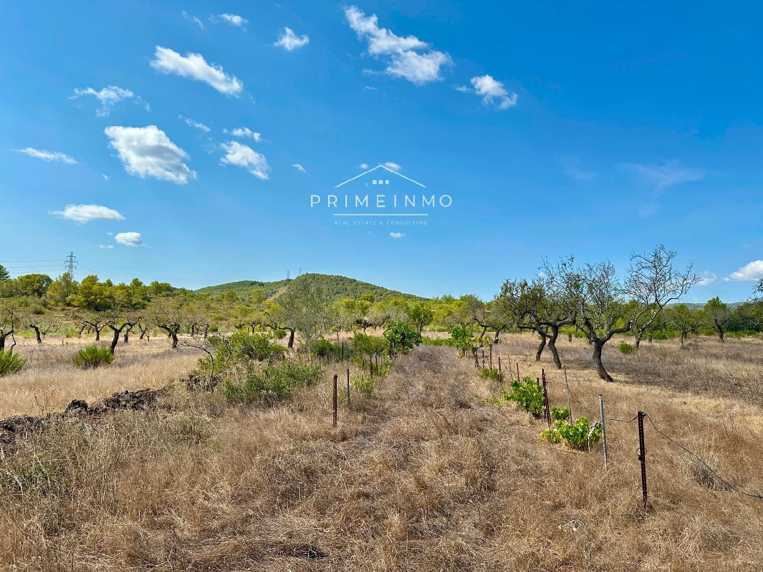  te koop boerderij El Perelló Baix Ebre 21