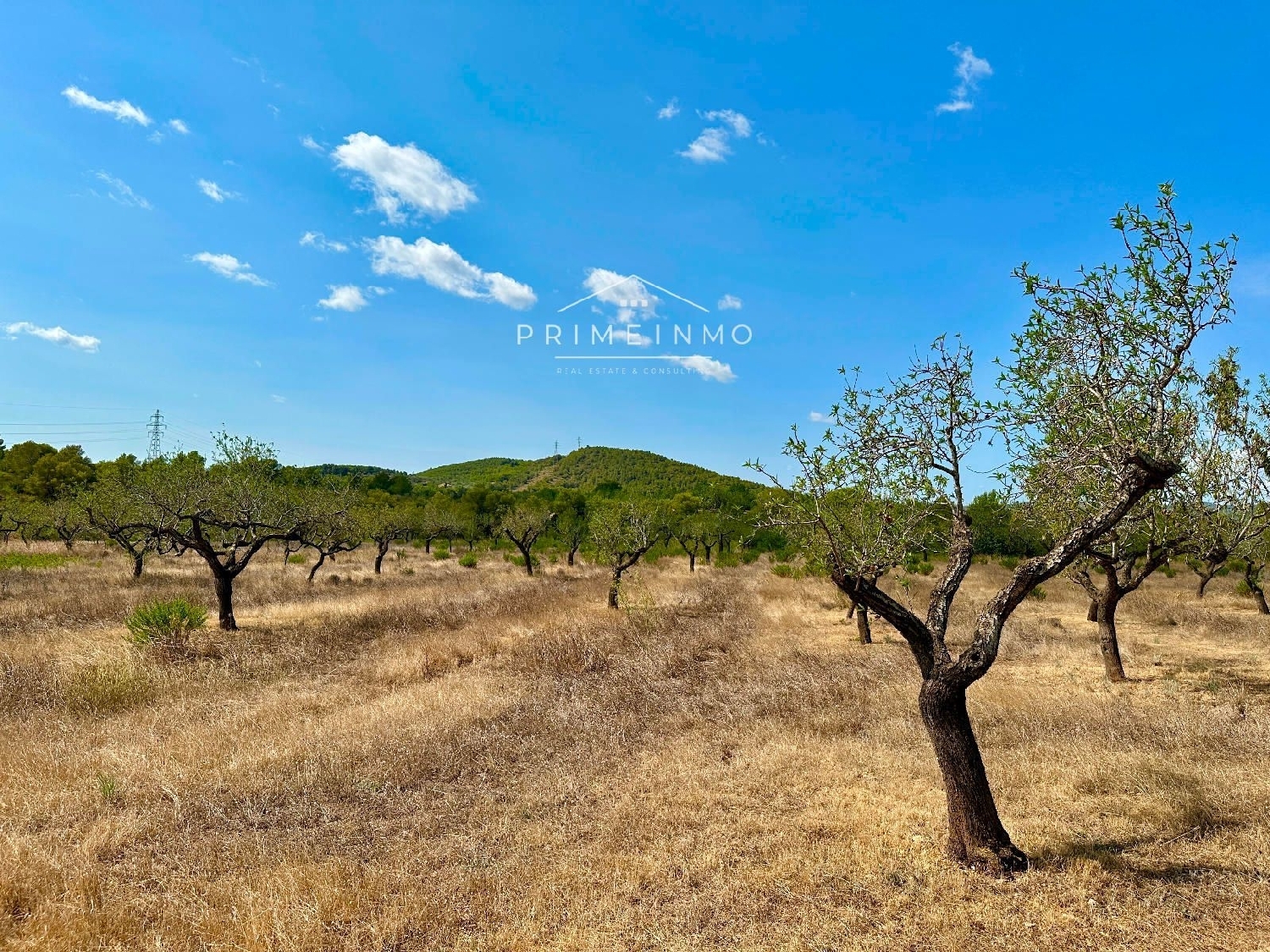  te koop boerderij El Perelló Baix Ebre 18