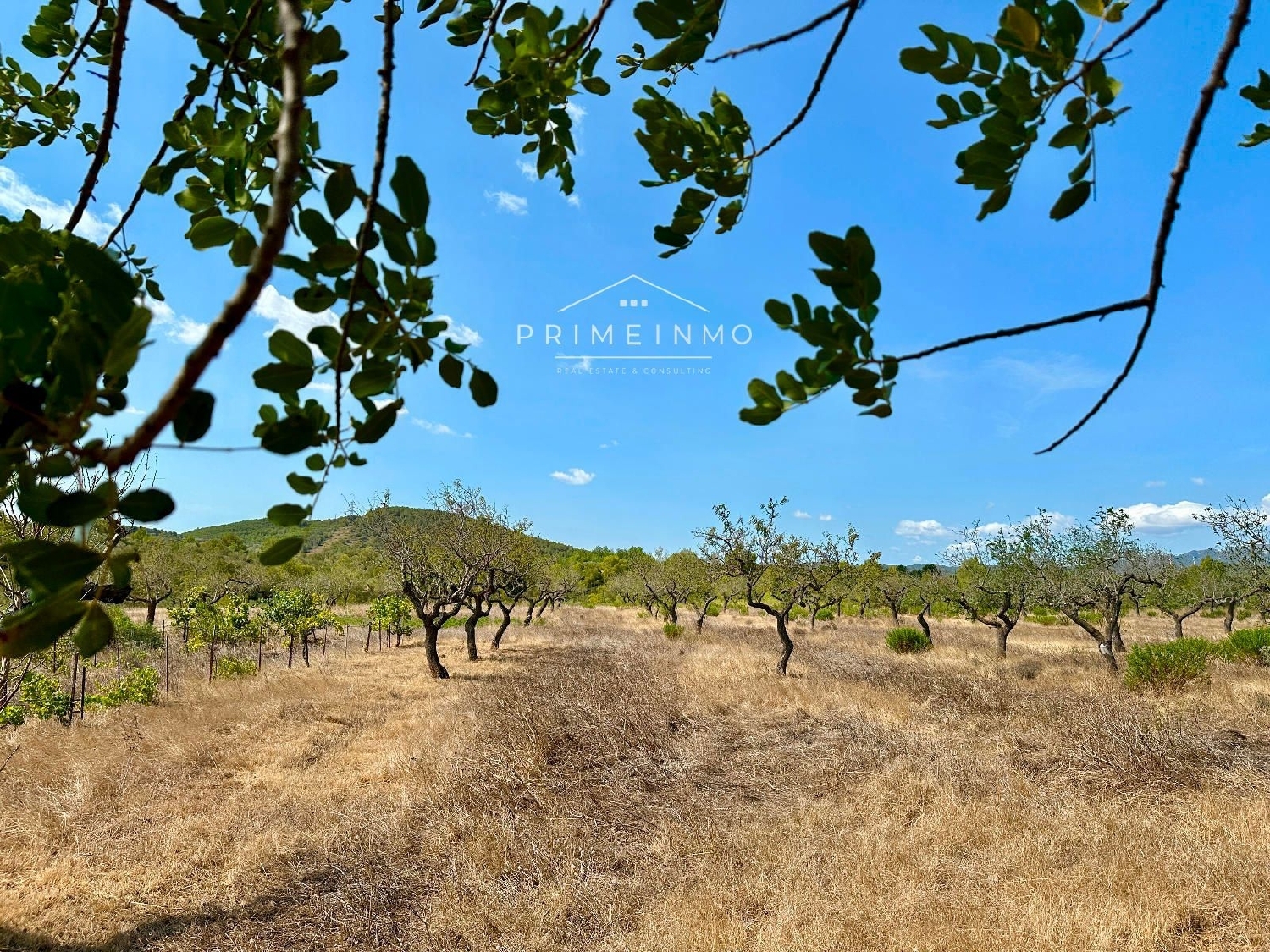  te koop boerderij El Perelló Baix Ebre 20