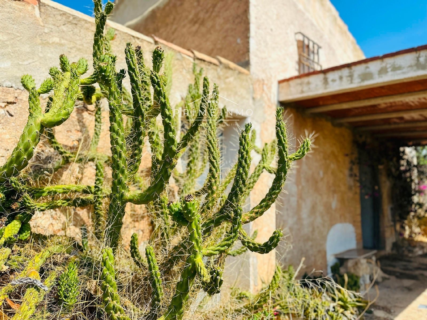  te koop boerderij El Perelló Baix Ebre 6