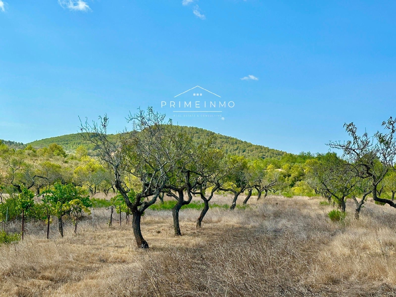  te koop boerderij El Perelló Baix Ebre 24