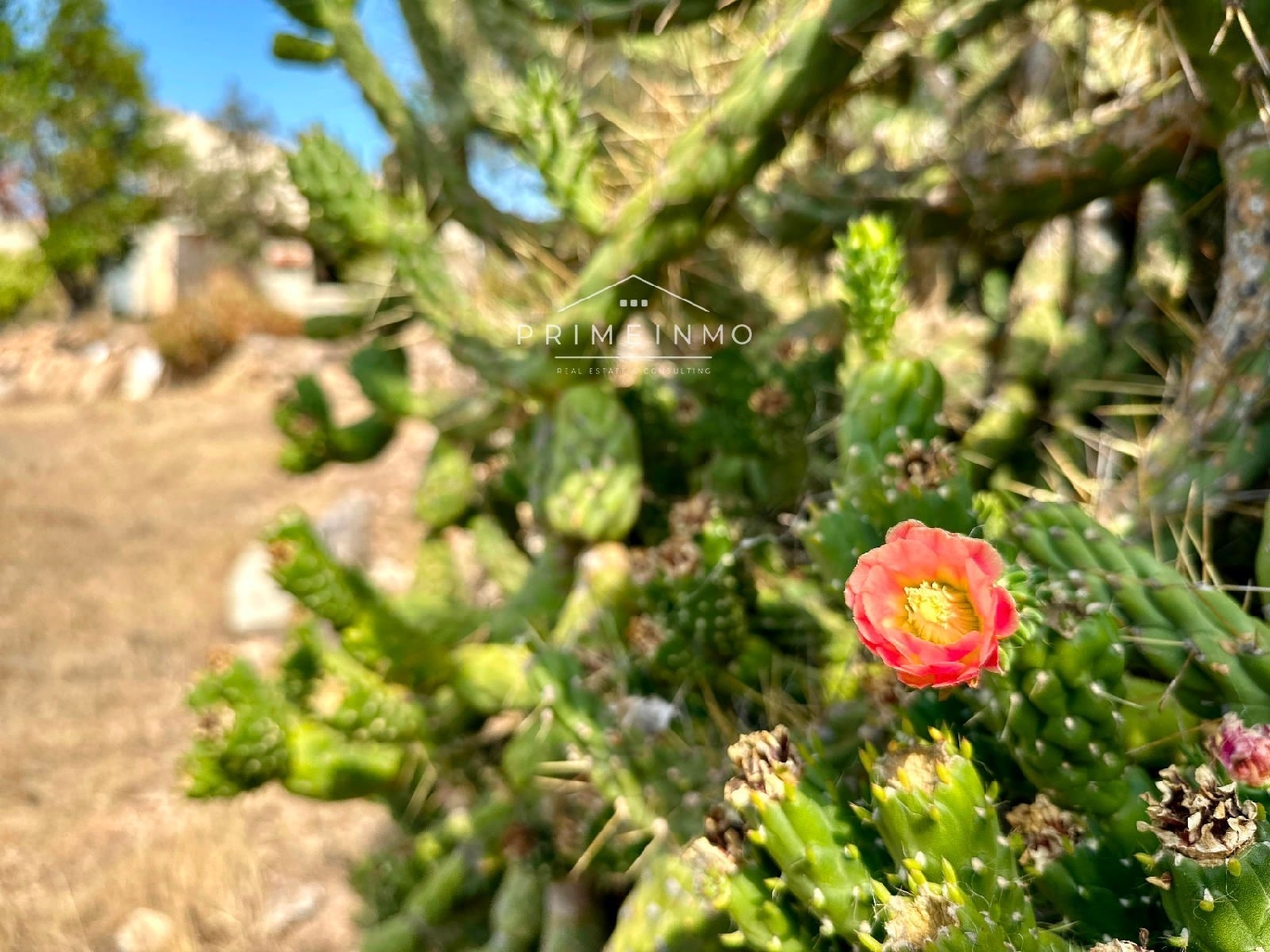  te koop boerderij El Perelló Baix Ebre 19