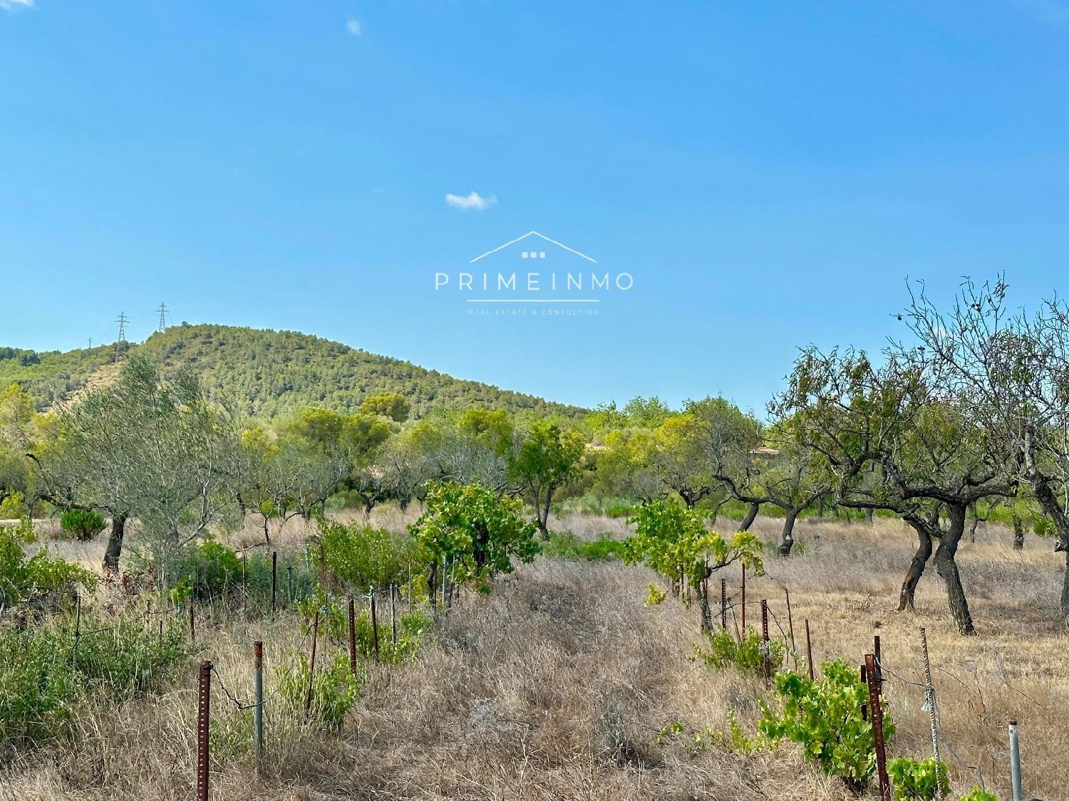  te koop boerderij El Perelló Baix Ebre 22