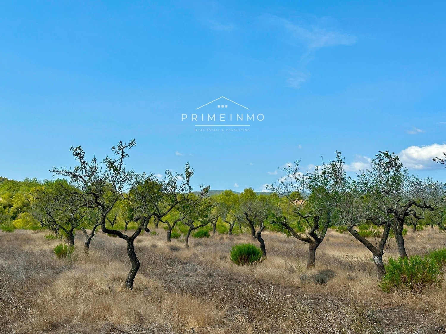  te koop boerderij El Perelló Baix Ebre 23