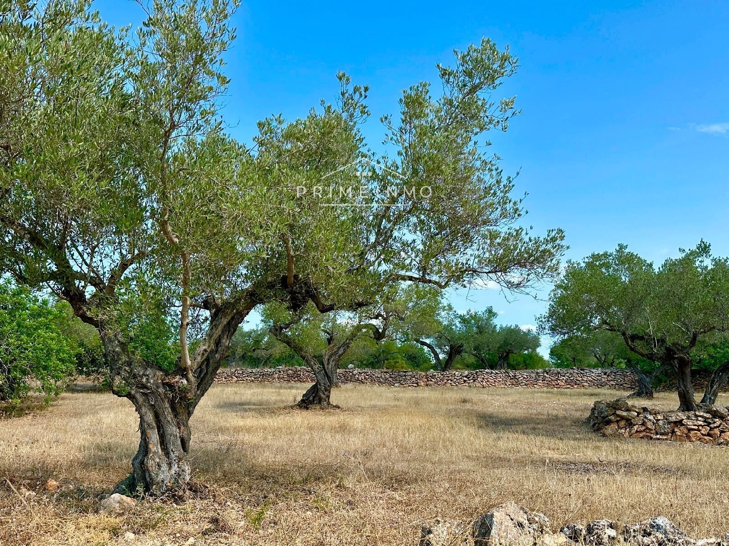  te koop boerderij El Perelló Baix Ebre 28