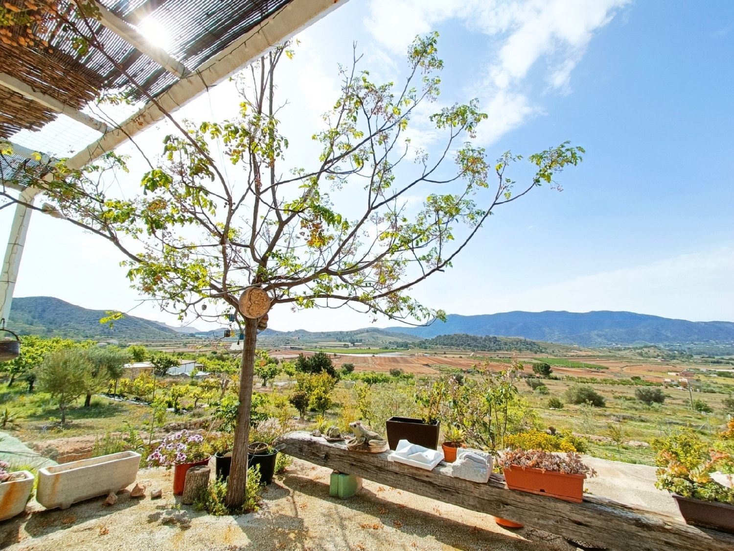 te koop boerderij Hondón De Las Nieves Vinalopó Mitjà 3