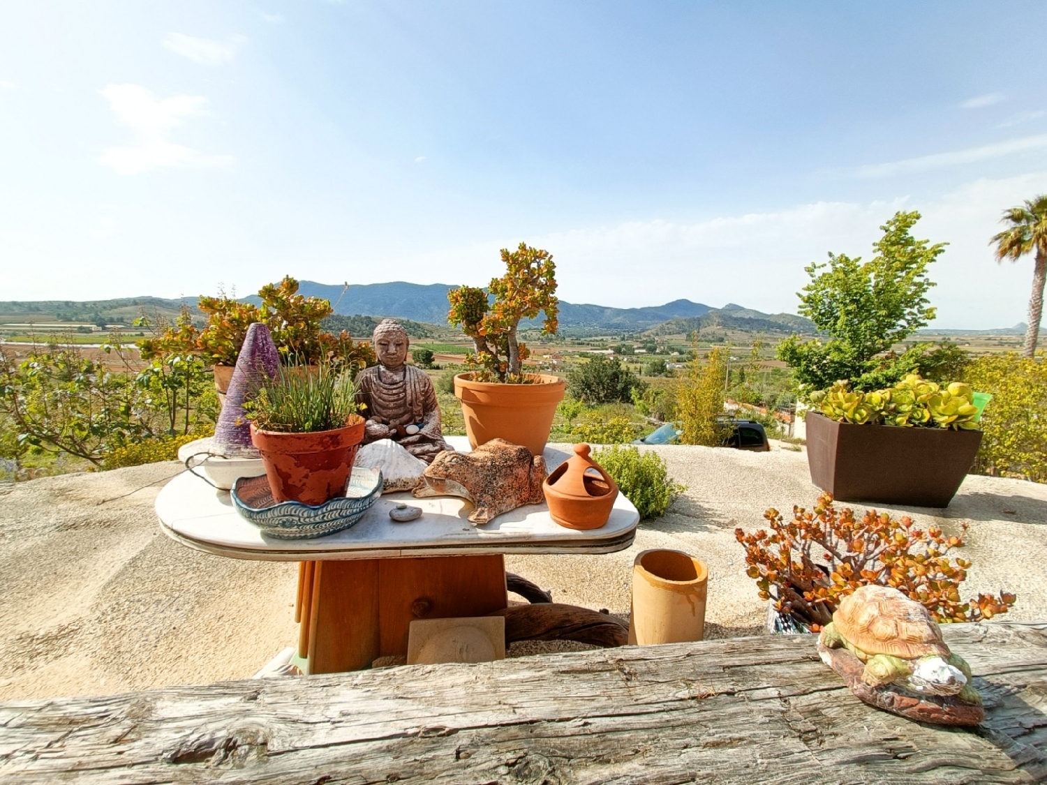 te koop boerderij Hondón De Las Nieves Vinalopó Mitjà 2
