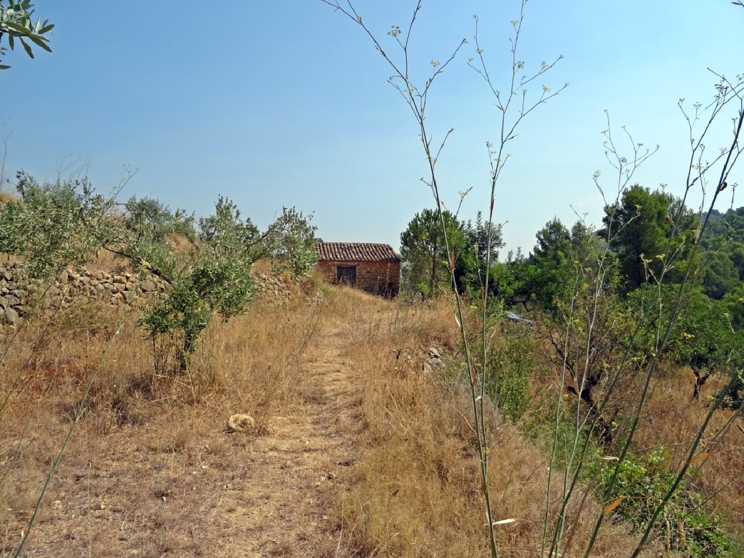  à vendre maison de campagne Jalón Marina Alta 7