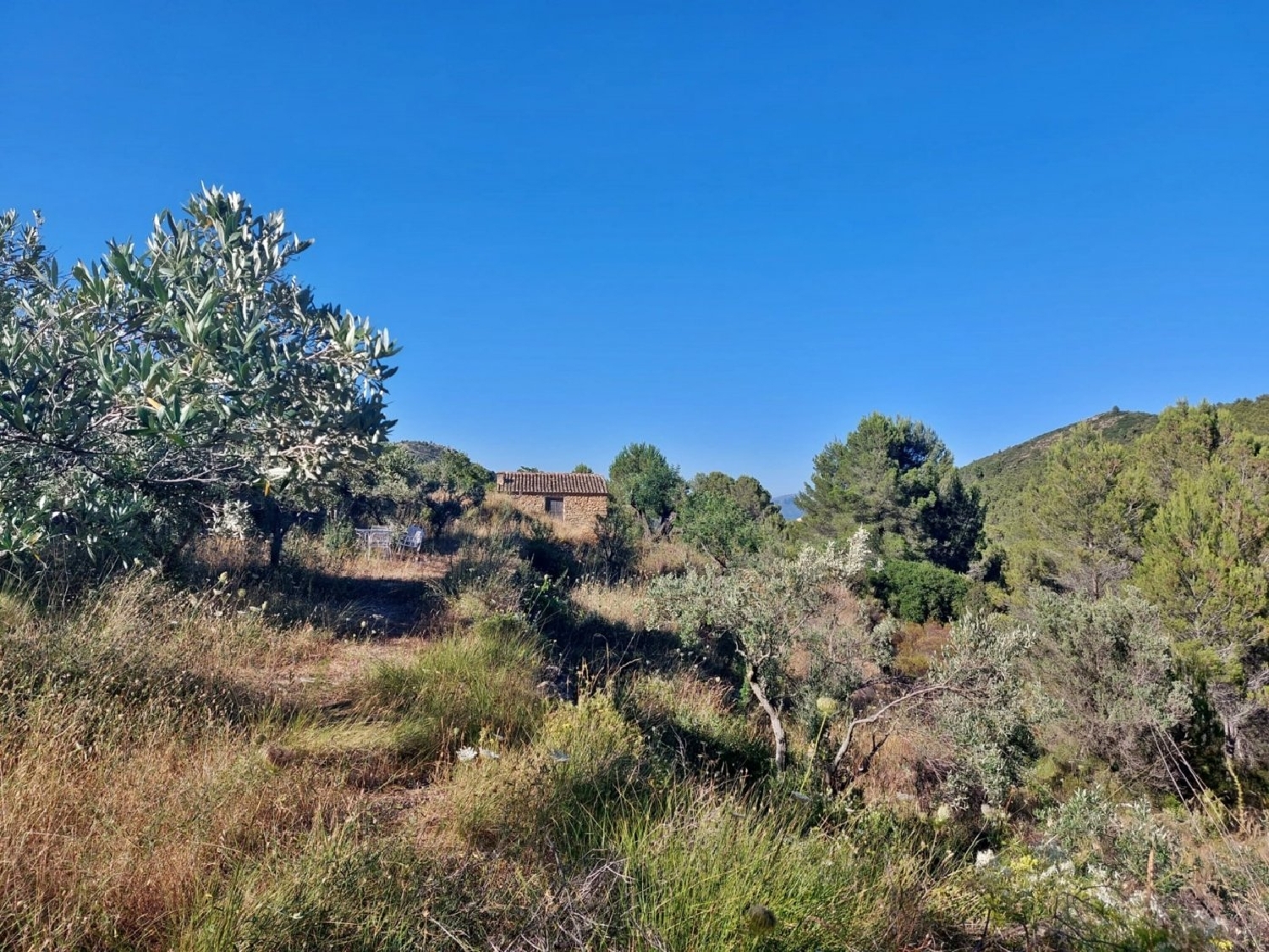  à vendre maison de campagne Jalón Marina Alta 5