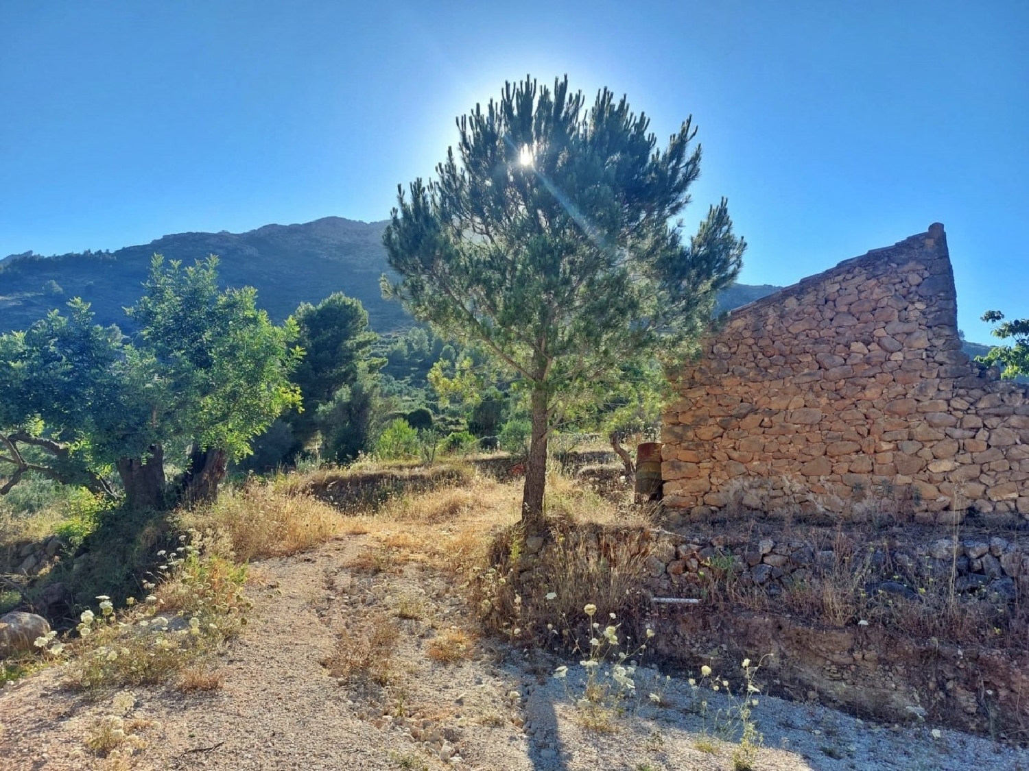  à vendre maison de campagne Jalón Marina Alta 8