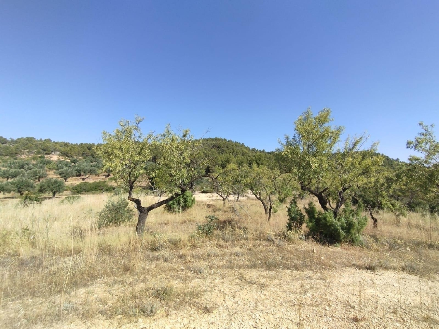  for sale country house La Portellada Matarraña 5